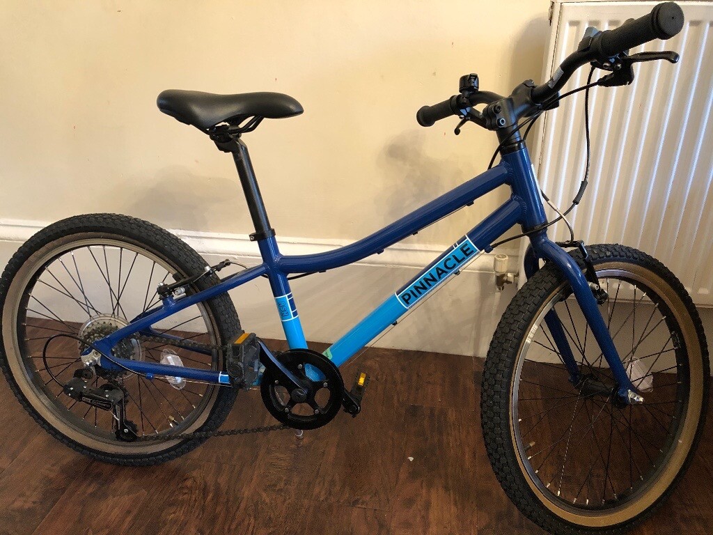 pinnacle ash bike